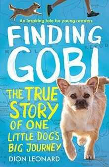 Finding gobi younger - gobi, readers